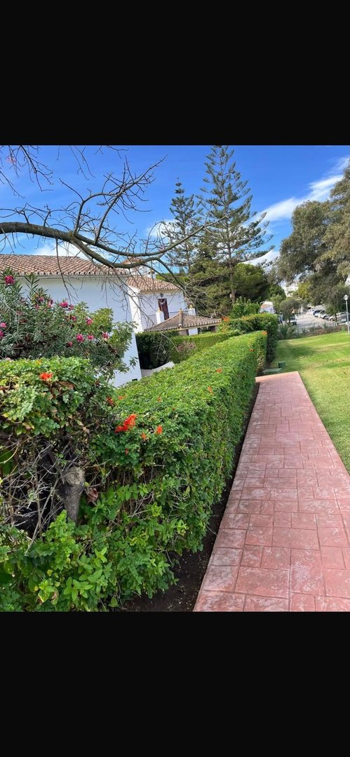 A red brick path winds alongside a manicured green hedge and flowering bushes, leading towards a white building.
