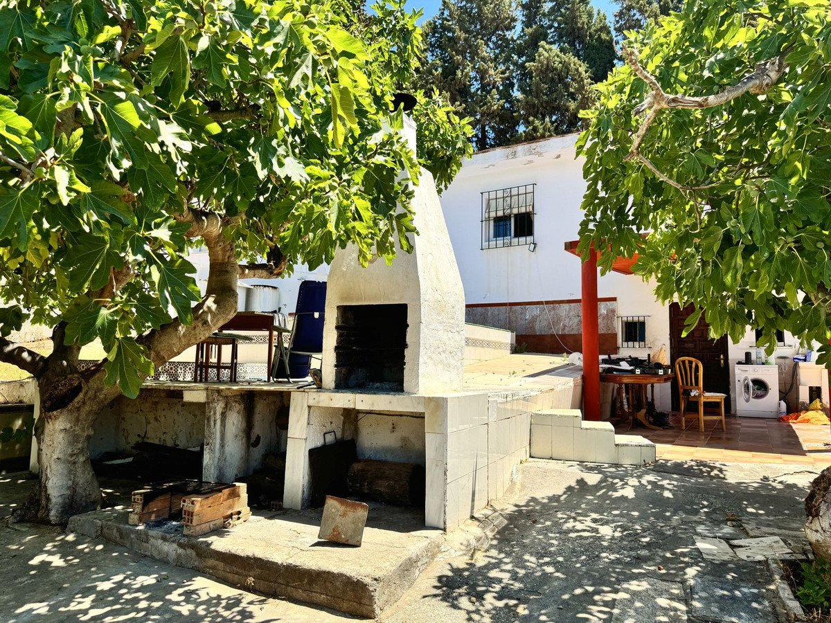 04 photo
