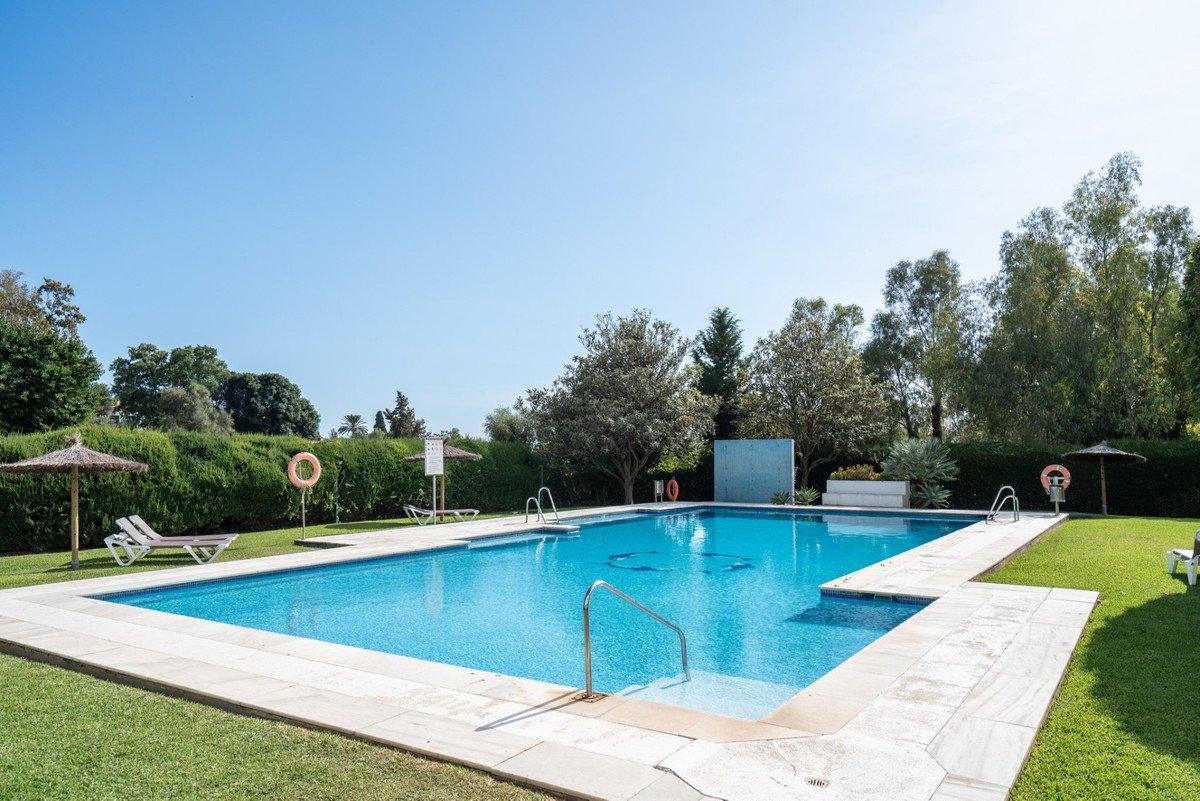 Outdoor pool with lounge chairs, umbrellas, and greenery under a clear blue sky.