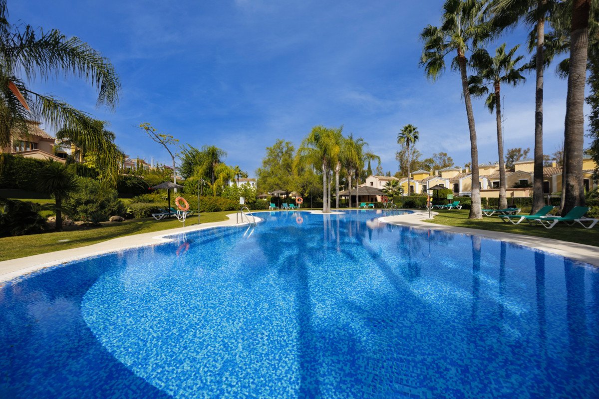 Resort swimming pool with palm trees and lounge chairs under blue sky
