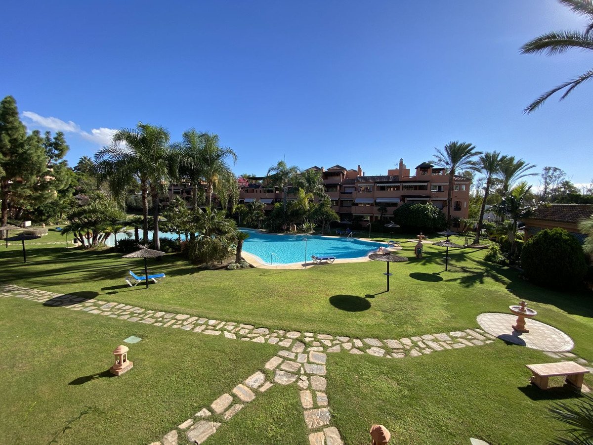 Apartments with a view of a swimming pool and a lush garden with palm trees and lounge chairs.