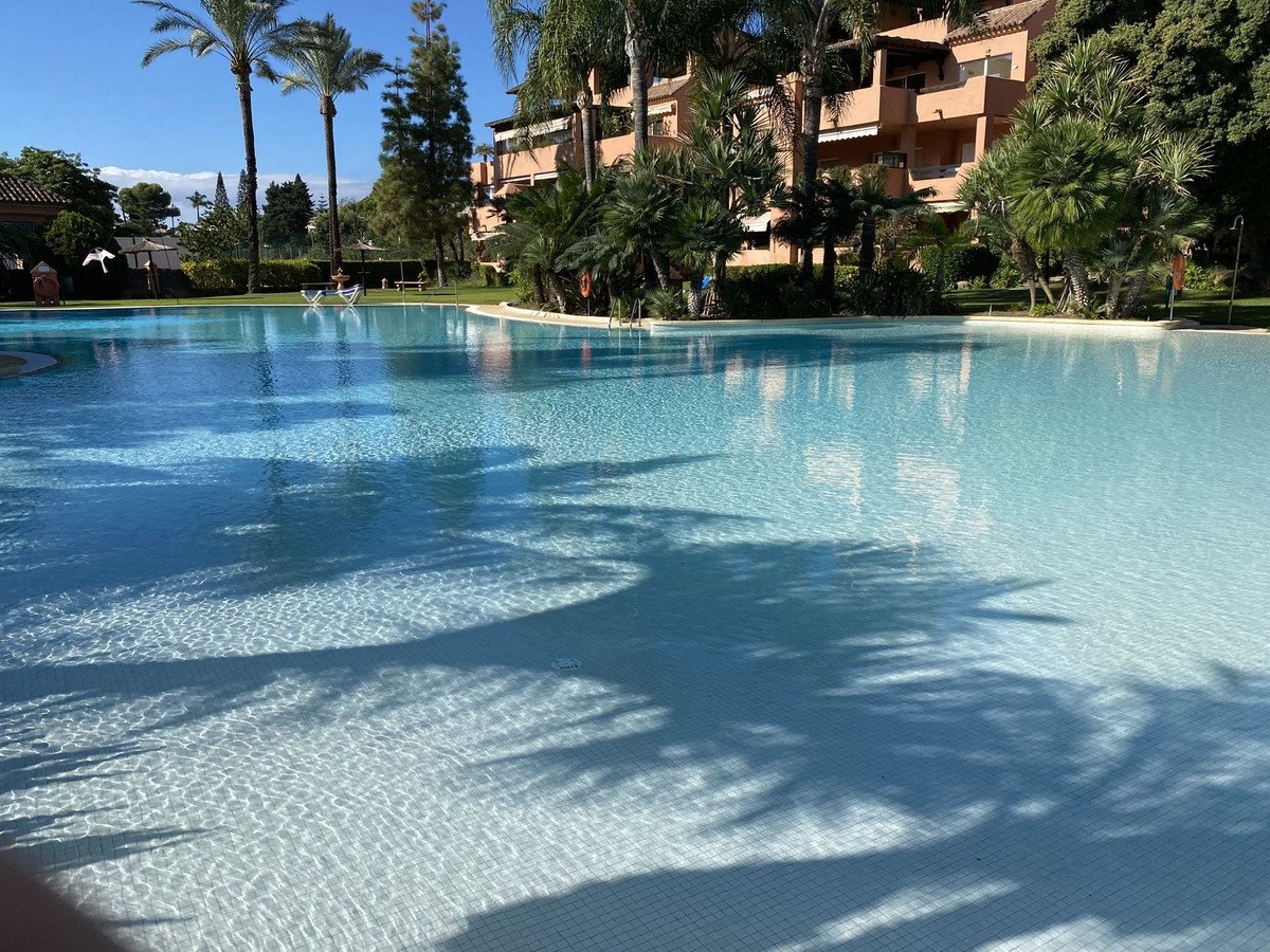 Expansive swimming pool surrounded by palm trees and apartment buildings on a sunny day.