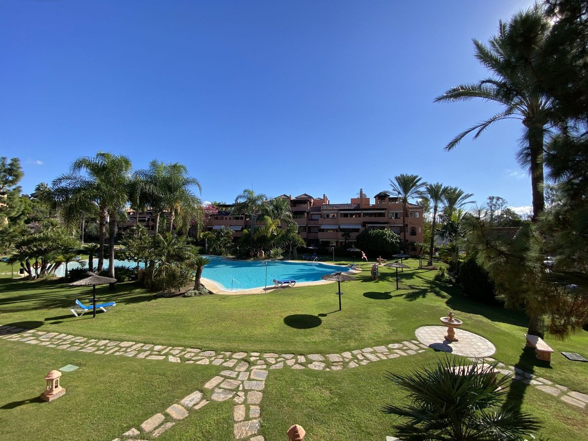 A view of a resort pool area with palm trees and buildings under a clear blue sky.