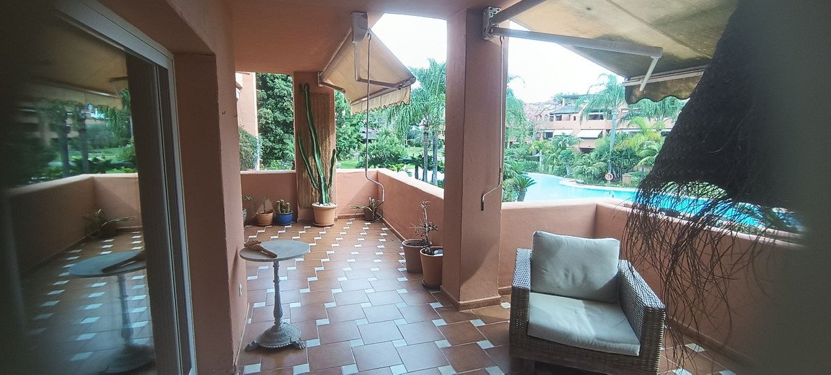 Terrace with a large cactus, potted plants, and a seating area overlooking a swimming pool and lush greenery.