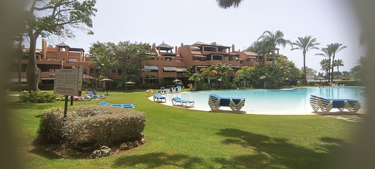 Resort swimming pool and loungers with apartments and palm trees in the background on a sunny day.