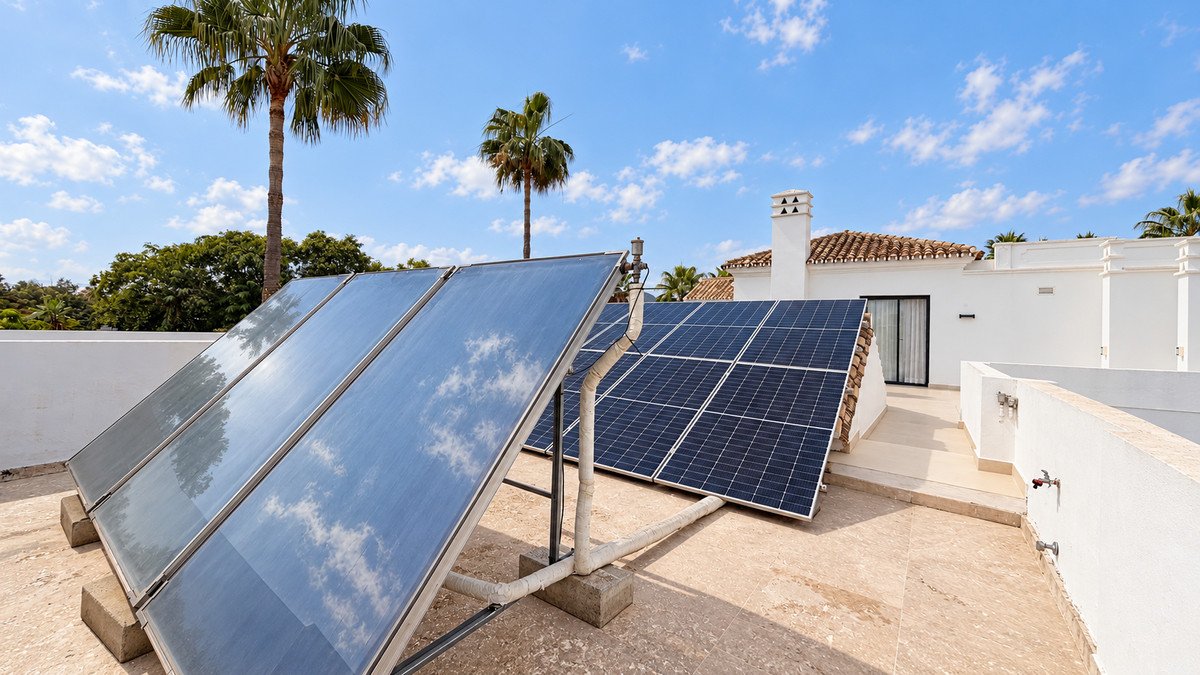 Rooftop with solar panels and palm trees against a blue sky