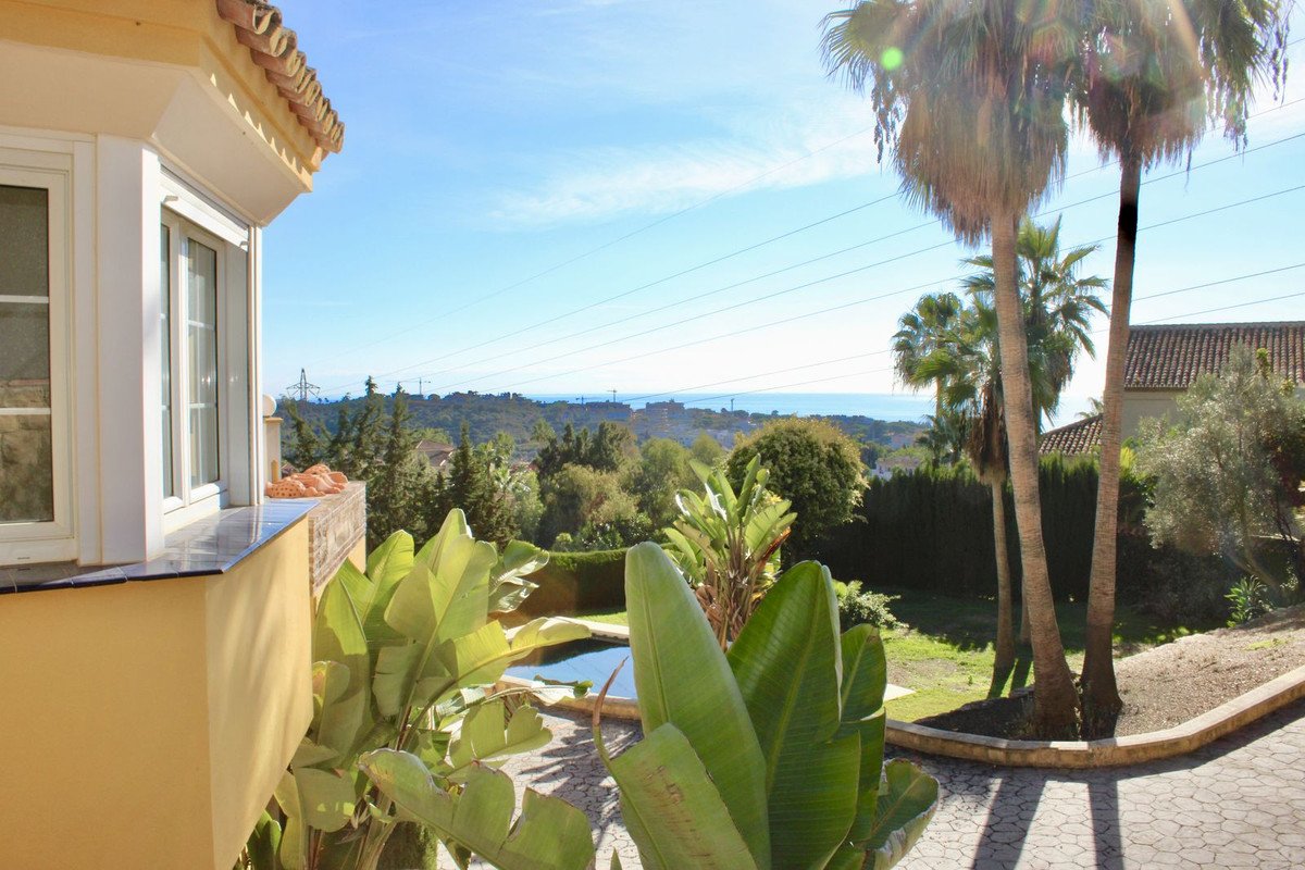 Balcony with lush greenery, palm trees, and a scenic view of the sea