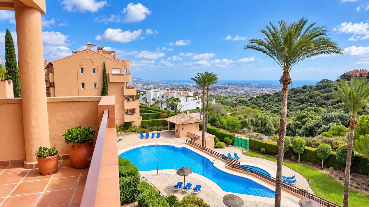 Terrace view overlooking a swimming pool, palm trees, and a distant sea on a sunny day.