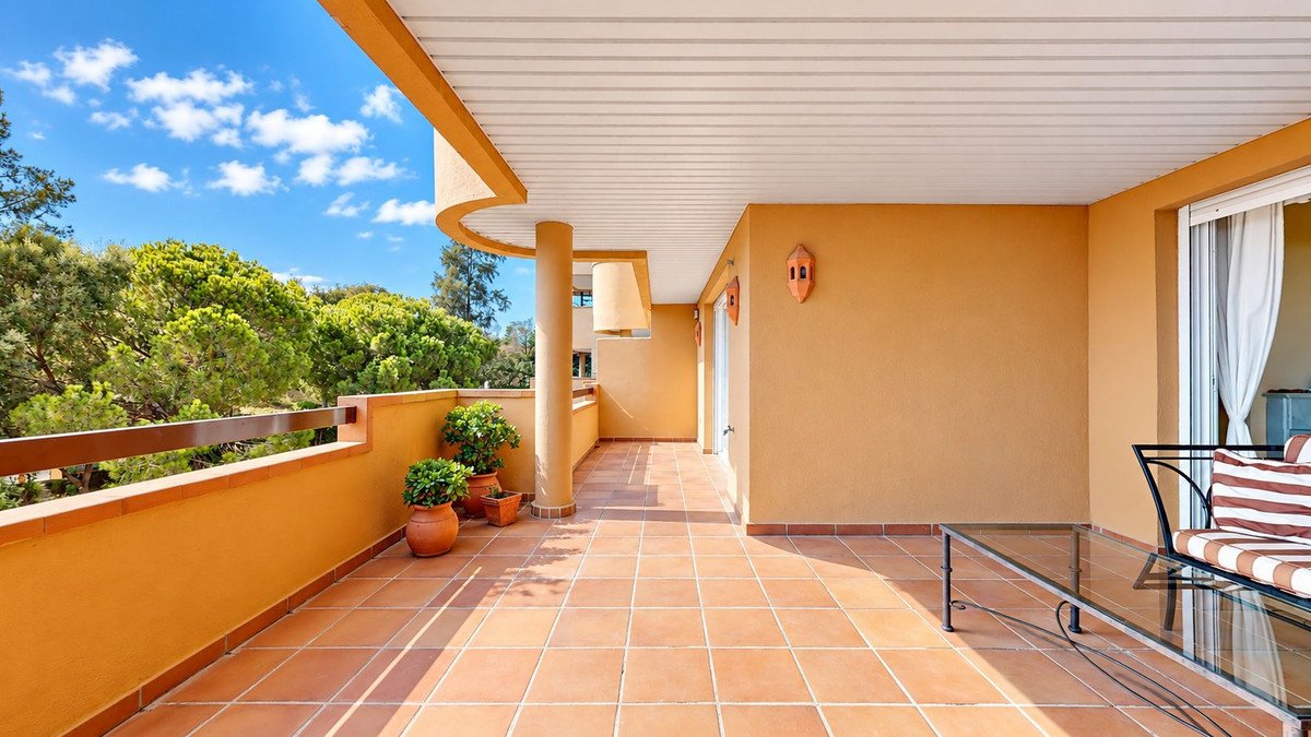 Spacious covered terrace with terracotta tiles, potted plants, and a view of lush green trees under a blue sky.