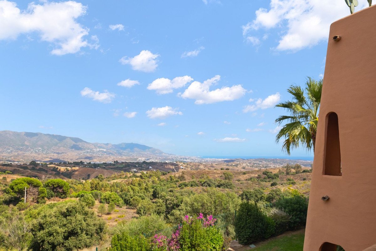 View from a balcony with palm trees and cacti, overlooking rolling hills, mountains, and the sea under a blue sky.