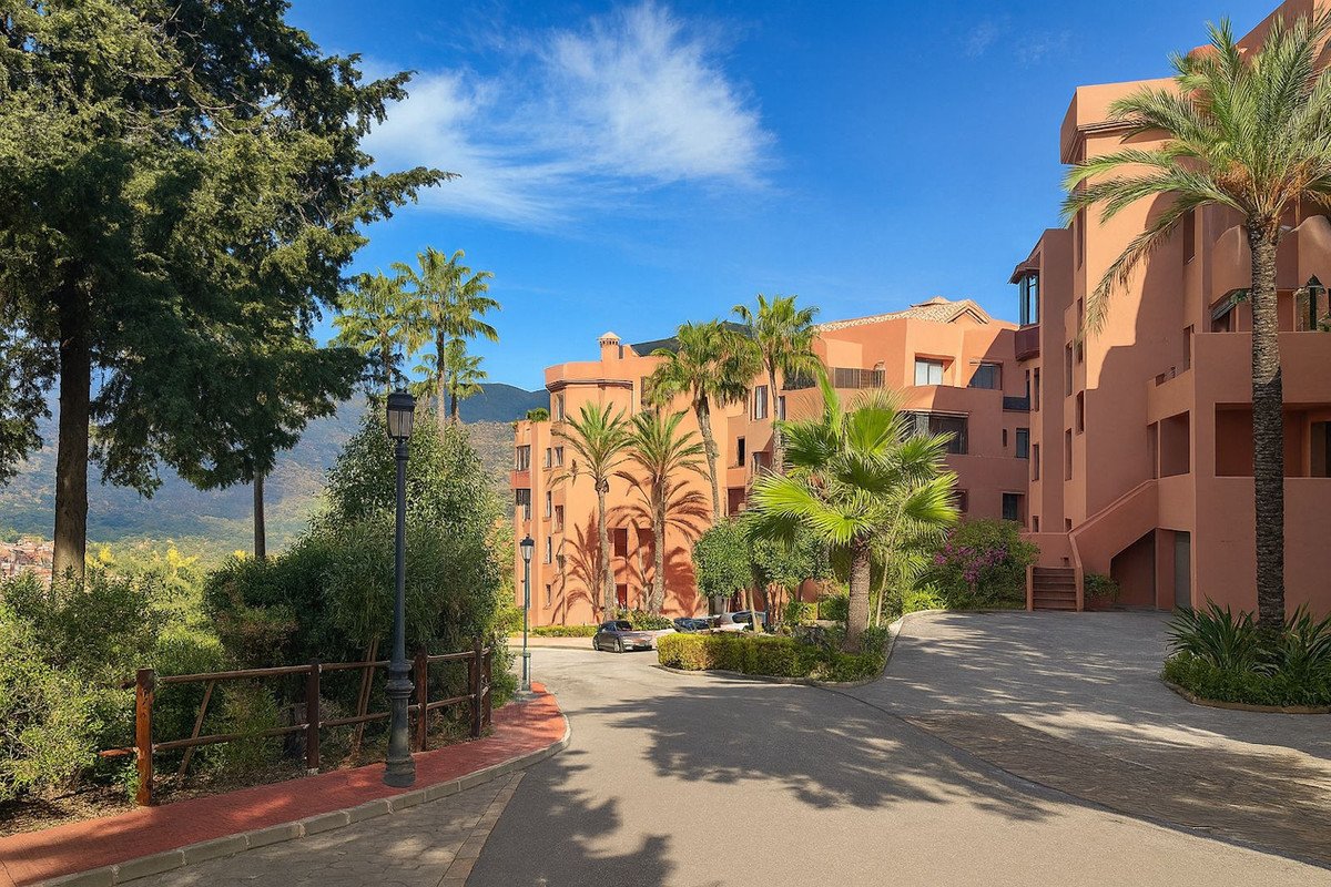Palm trees and lush greenery surround a winding driveway leading to a terracotta-colored apartment complex with mountain views.