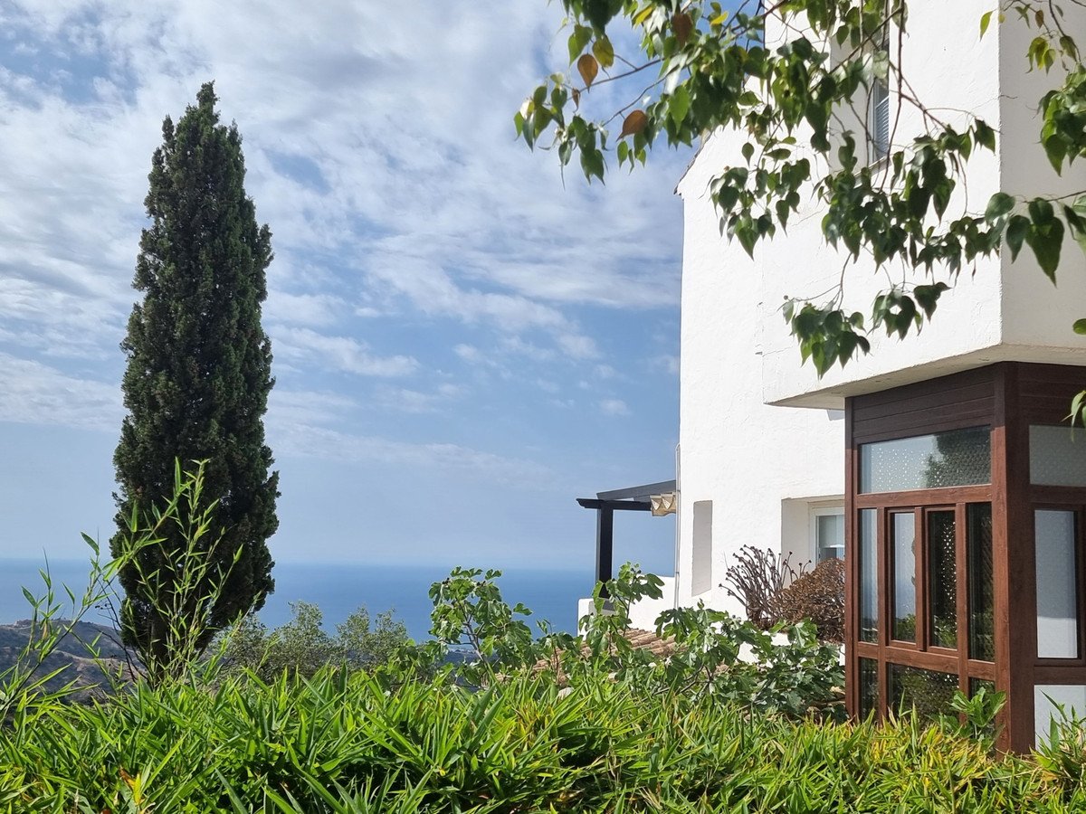 A white house with a bay window overlooks the sea, with a tall cypress tree and lush greenery in the foreground.