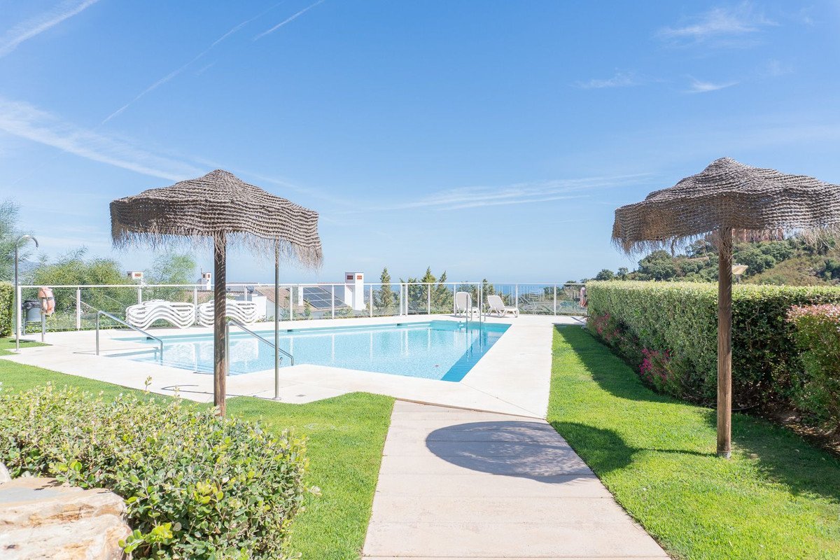 A sunny outdoor swimming pool area with thatched umbrellas, loungers, and a scenic view of the sea in the distance.