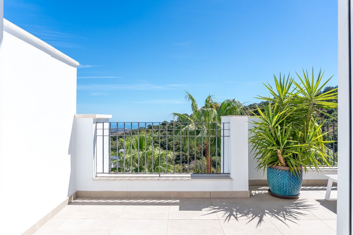 A sunny balcony with a sea view, surrounded by lush palm trees and greenery.