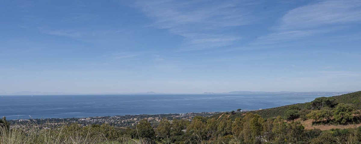 23 photo