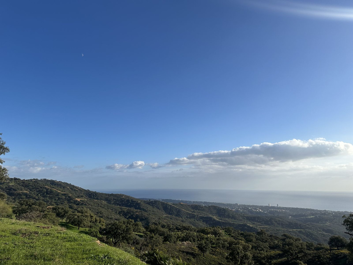 22 photo