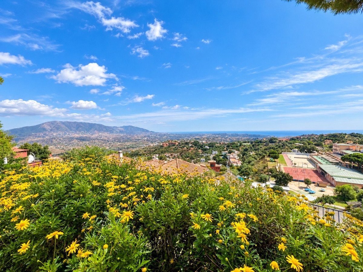 A scenic view of lush greenery, yellow flowers, mountains, and the sea under a blue sky with clouds.