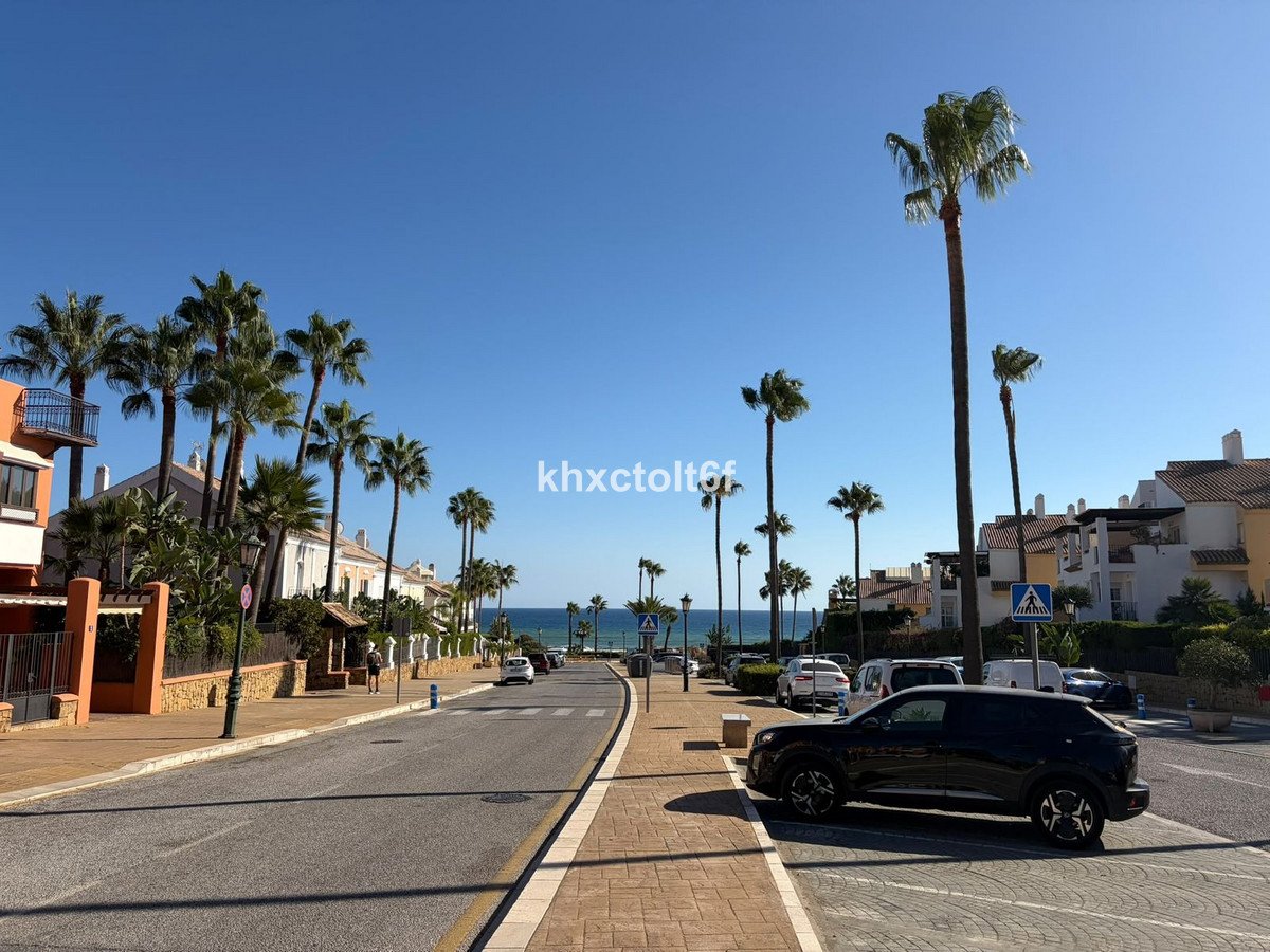A sunny day on a street lined with palm trees, leading towards the blue sea and houses.