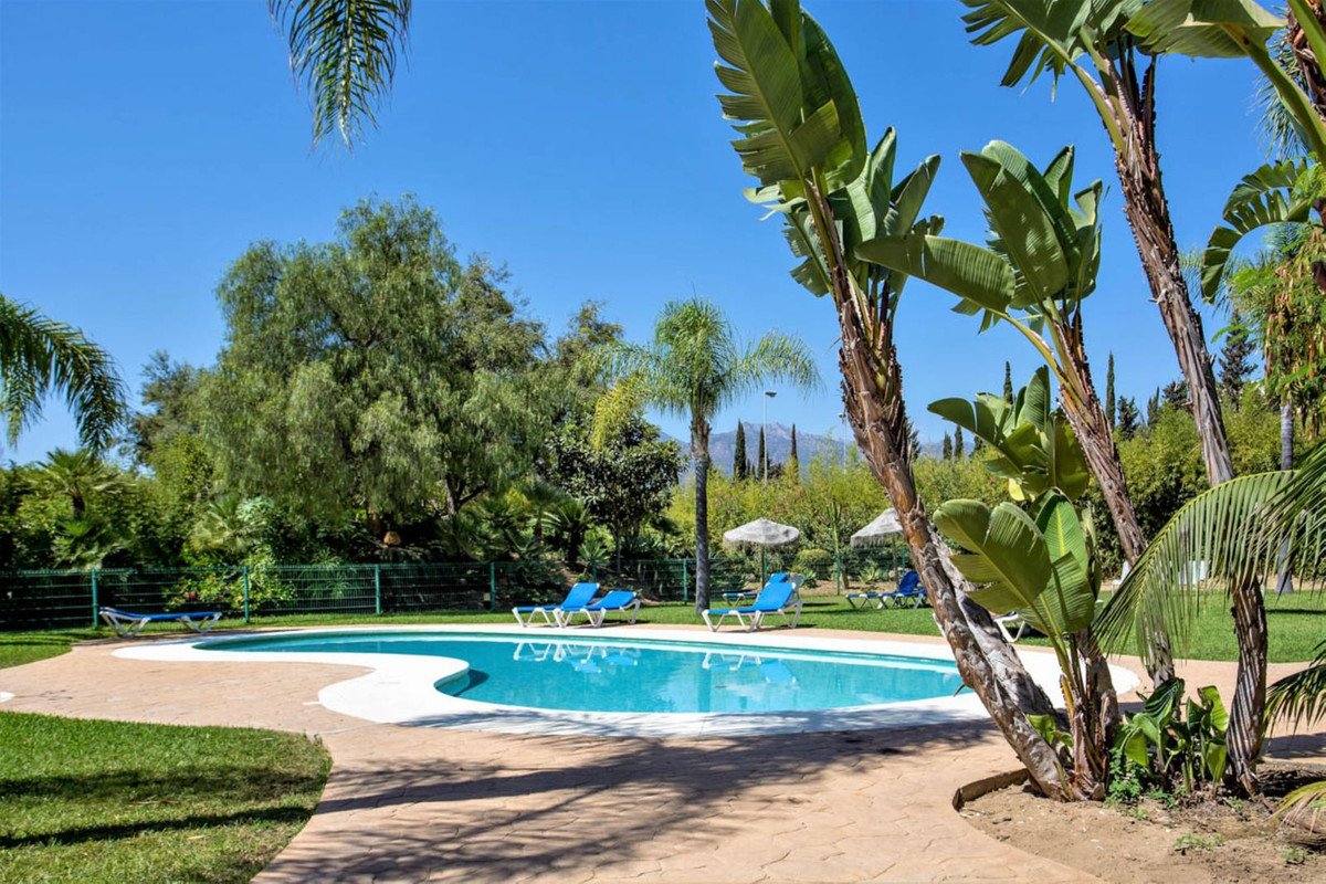 Sunny outdoor swimming pool with lounge chairs, surrounded by lush tropical gardens and palm trees.