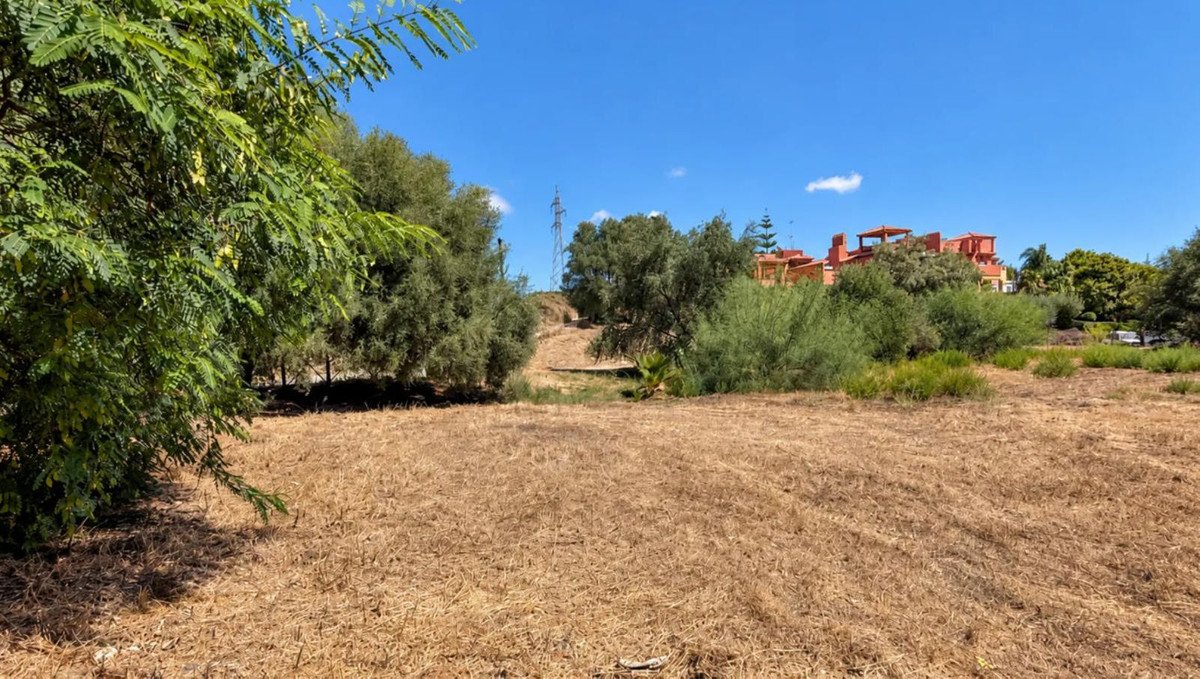 Undeveloped land with dry grass, trees, and distant buildings under a clear blue sky.