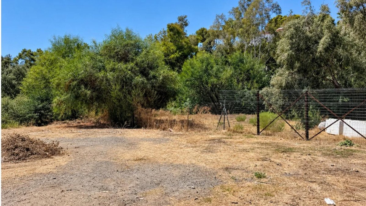 A dry, grassy lot with a wire fence and lush green trees and foliage in the background under a clear blue sky.