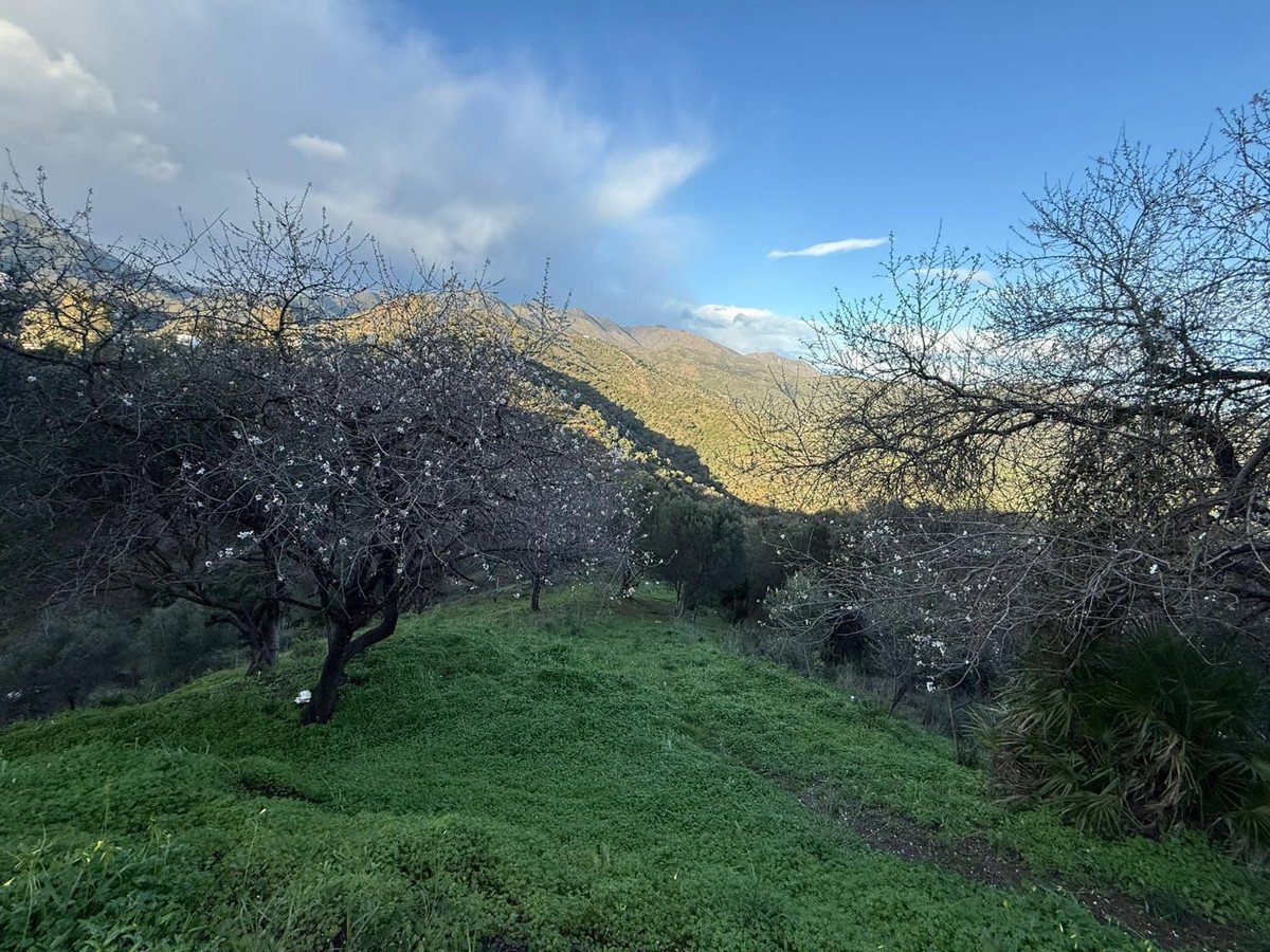 Land in Marbella di Marbella — Tanah