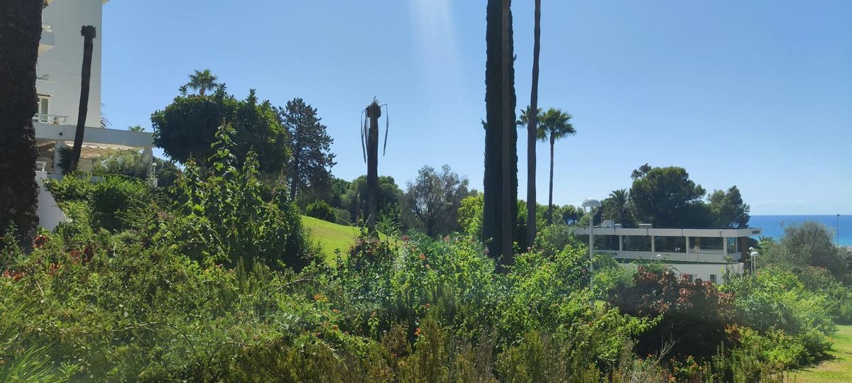 A lush green garden with various trees and bushes, overlooking a building and the blue sea under a clear sky.