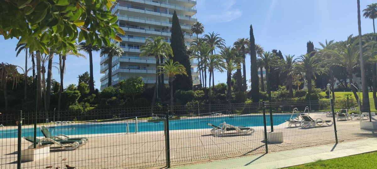 Outdoor swimming pool with lounge chairs surrounded by palm trees and a modern building in the background.