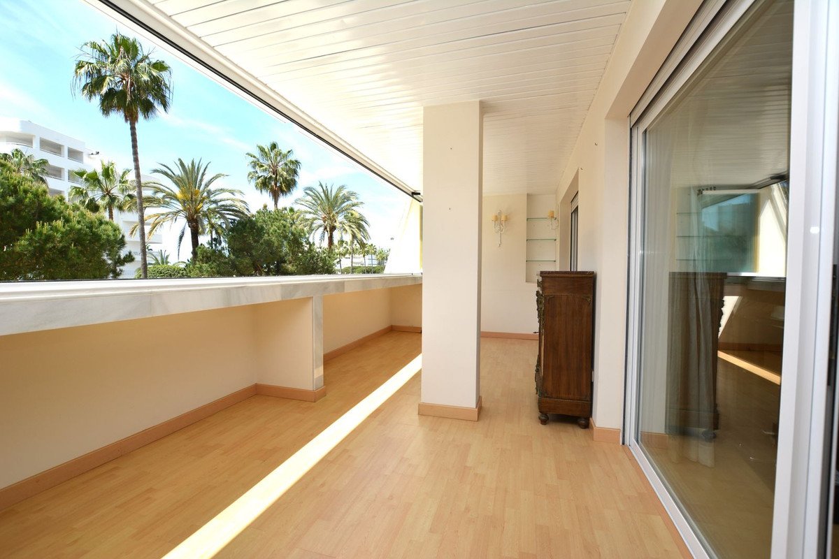 Sunlit terrace with wooden flooring and palm trees in the background