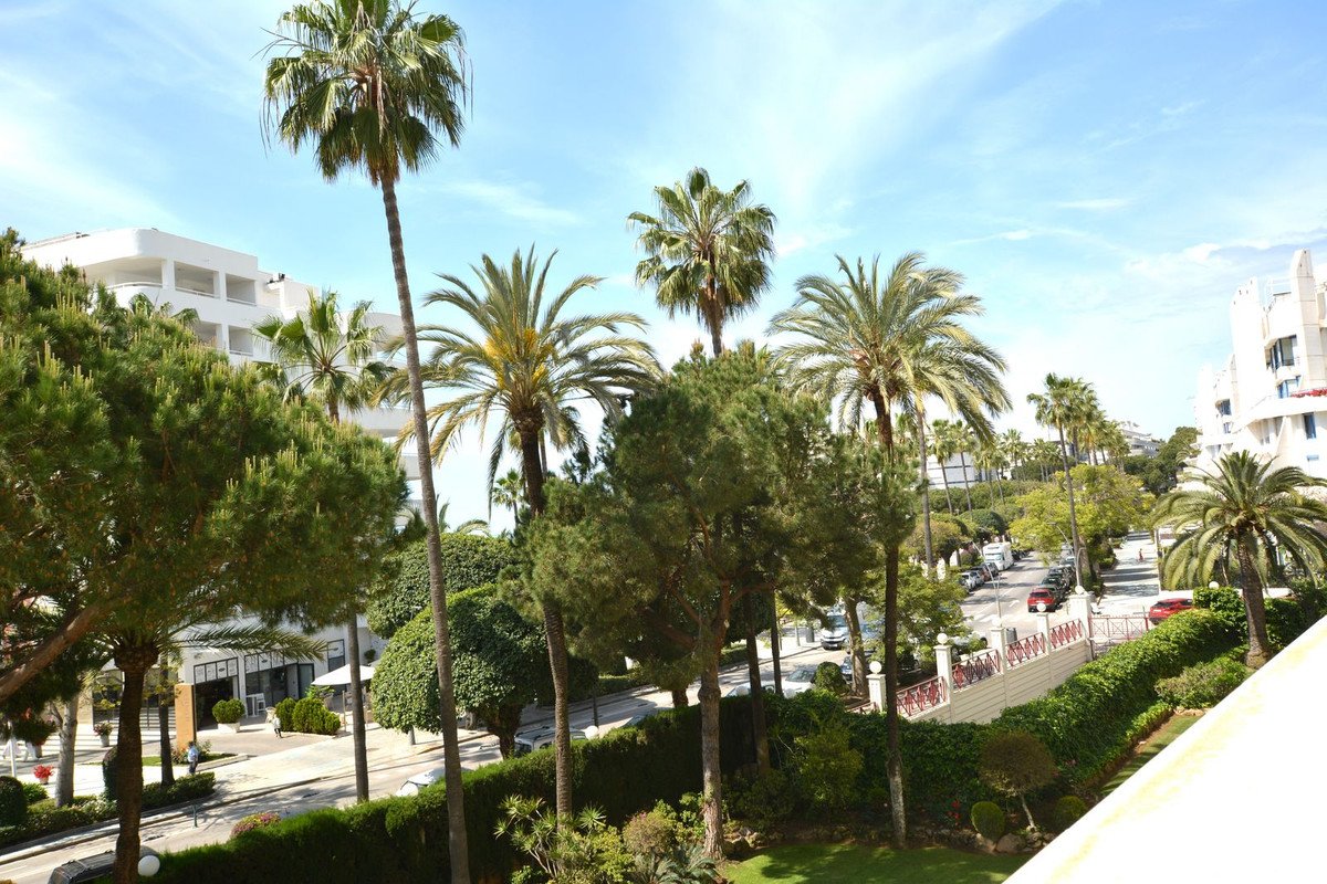 Balcony view of palm trees, greenery, and white buildings on a sunny day.