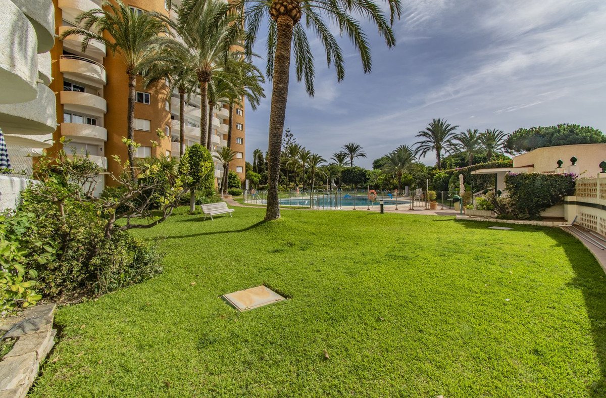 Lush green lawn with palm trees, a swimming pool, and apartment buildings in the background on a sunny day.