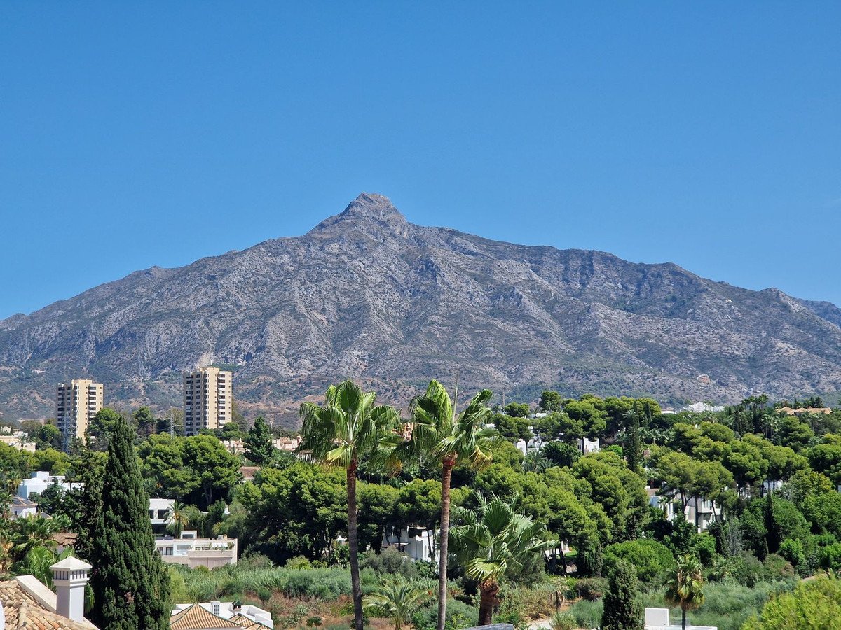 Mountain view with palm trees and urban landscape in background