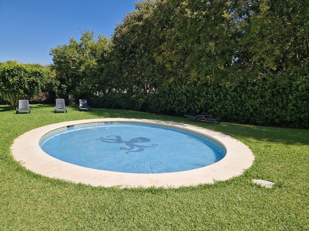 Backyard with round pool, lawn, and lounge chairs surrounded by trees