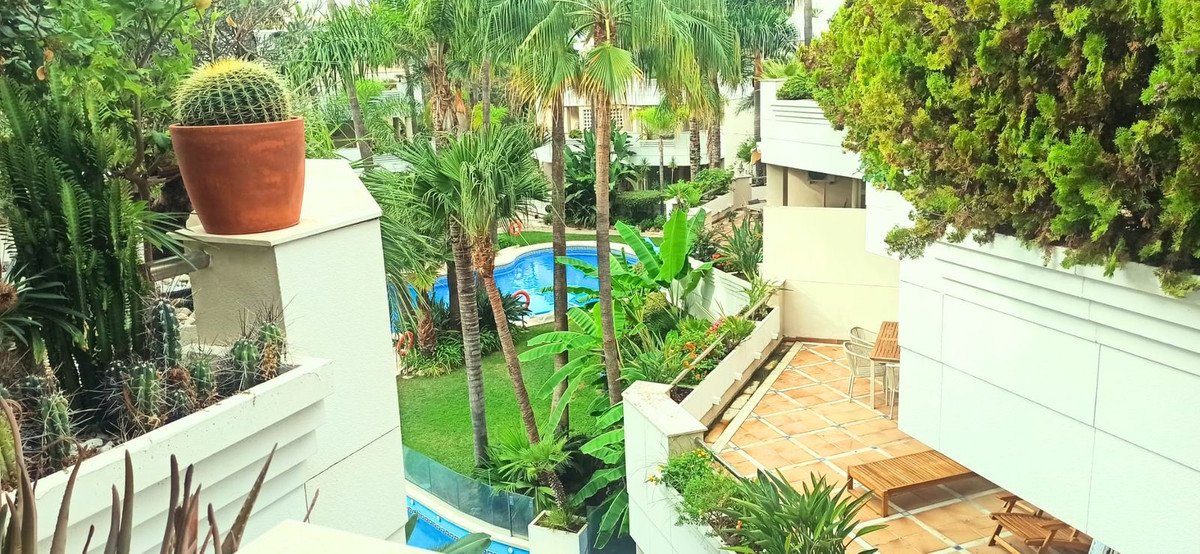 A terrace with a cactus pot and a view of a pool surrounded by palm trees and lush greenery.