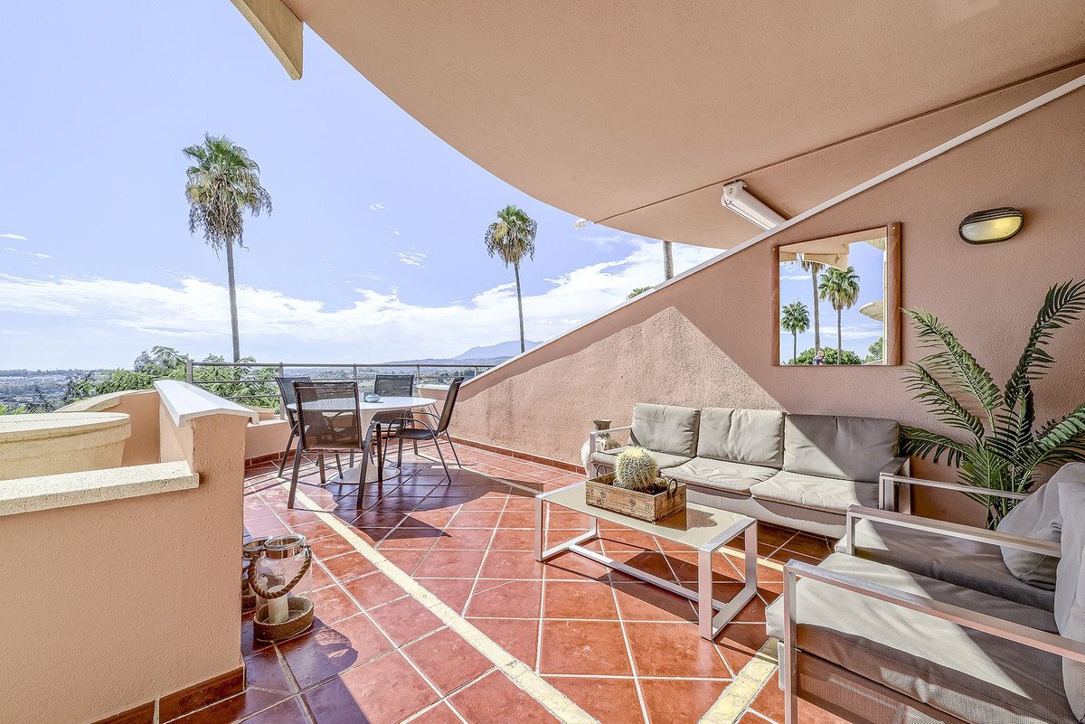 Sunny terrace with seating, dining set, and palm tree views