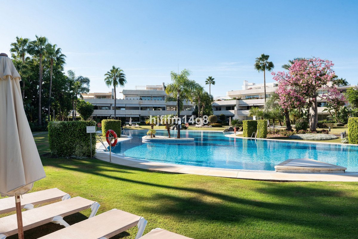 Swimming pool with lounge chairs, palm trees, and resort buildings in background