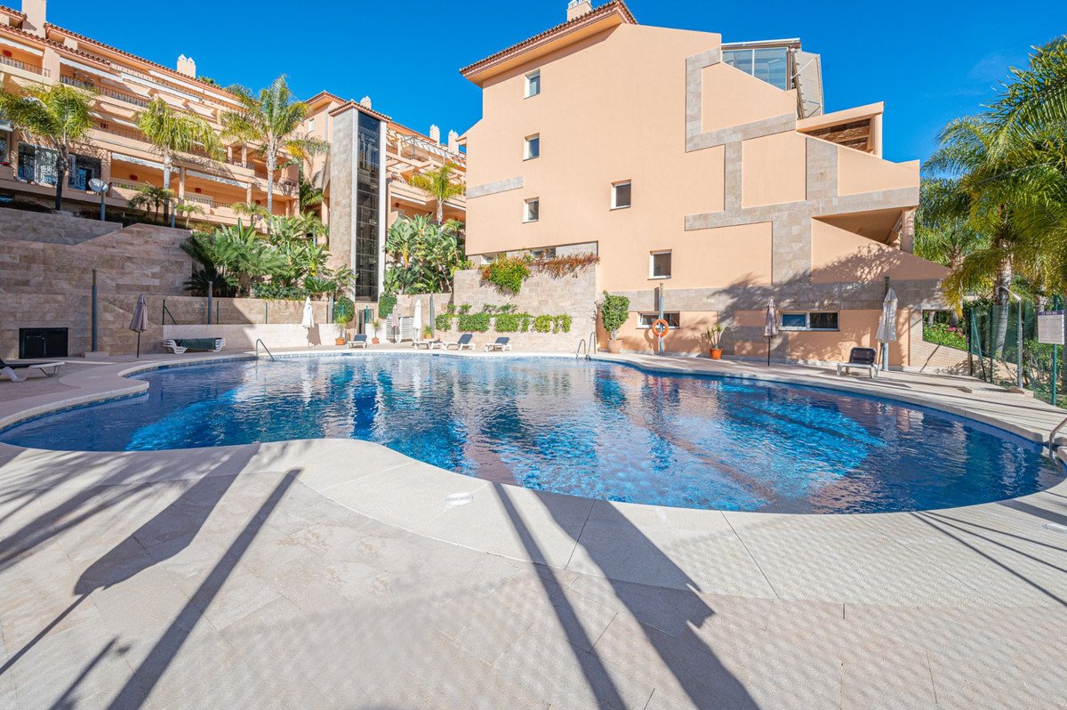 Resort swimming pool with sunlit deck and surrounding buildings