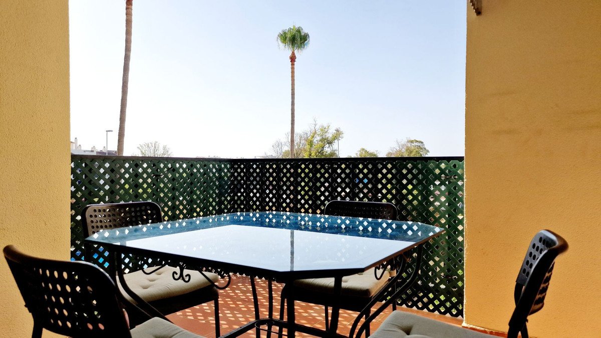 An outdoor patio area with a glass-top table and chairs, overlooking a tall palm tree and blue sky.