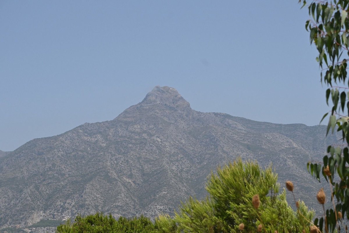 43 photo