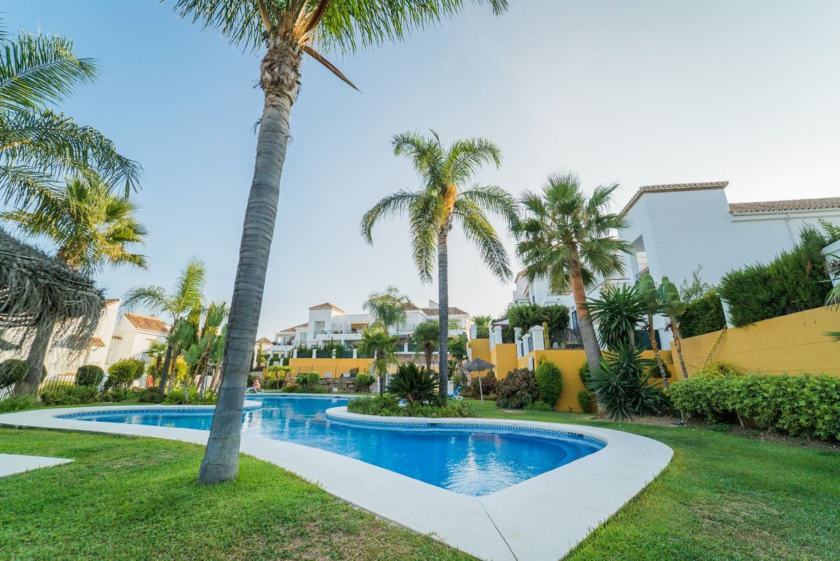 Swimming pool with palm trees in a resort-like outdoor setting