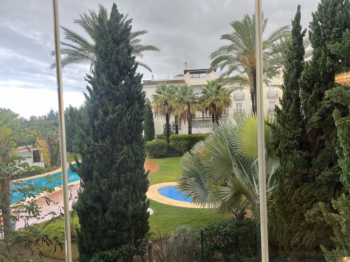 Apartment view of a swimming pool surrounded by palm trees and greenery