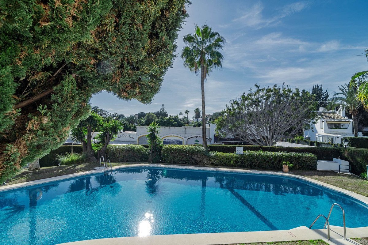 Outdoor swimming pool with clear blue water, surrounded by palm trees and greenery.