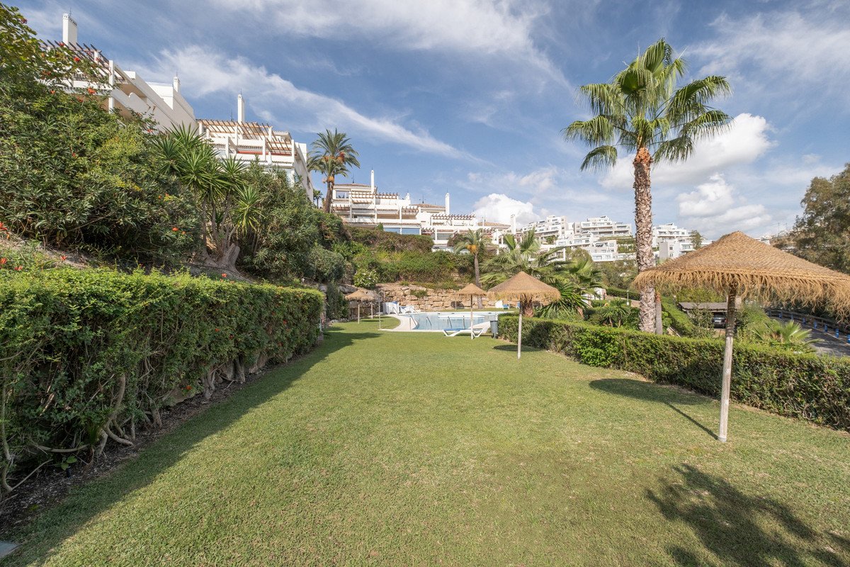 Lush green garden with a swimming pool, sun umbrellas, palm trees, and resort buildings in the background under a blue sky.