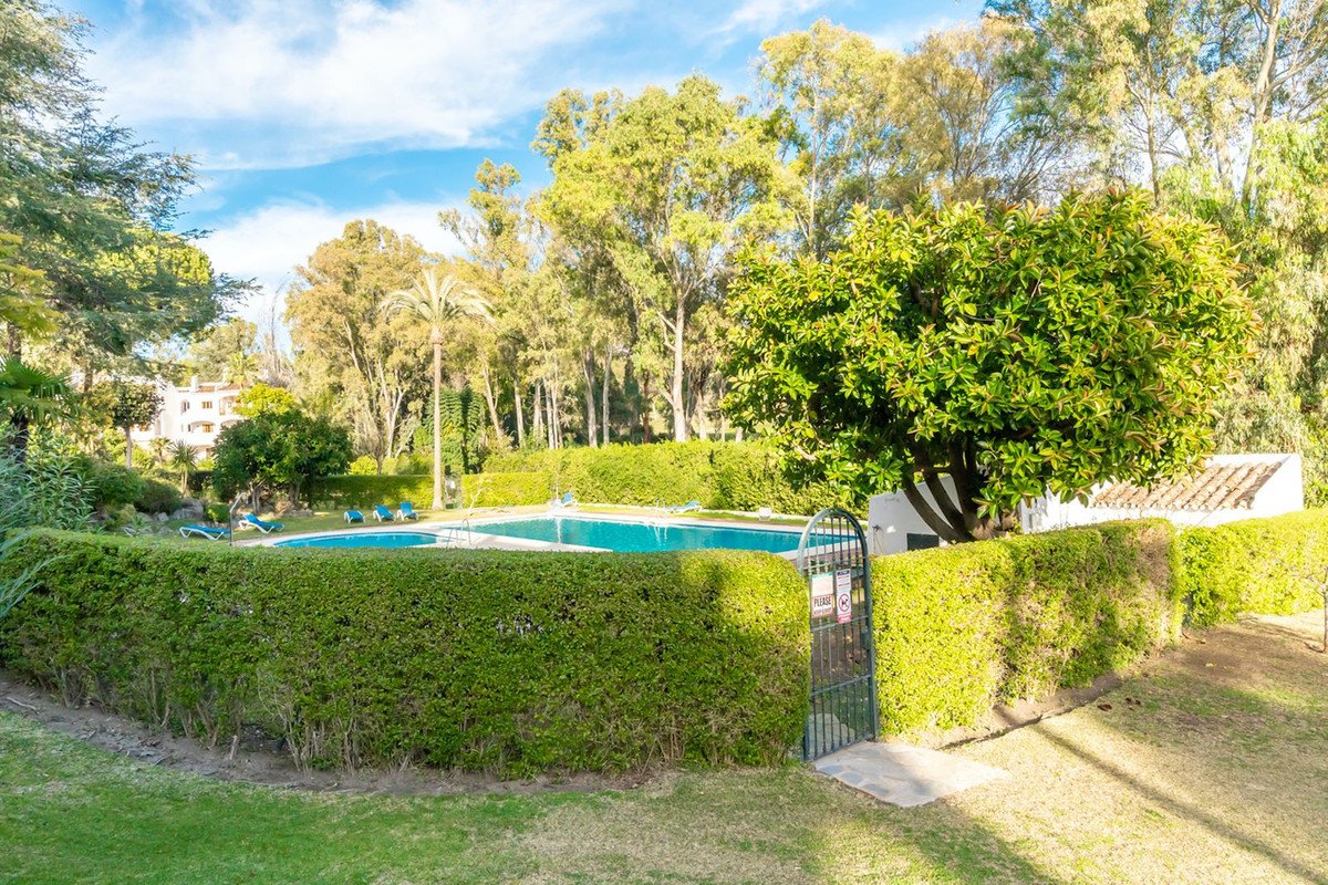 Backyard with swimming pool, green hedges, and garden trees