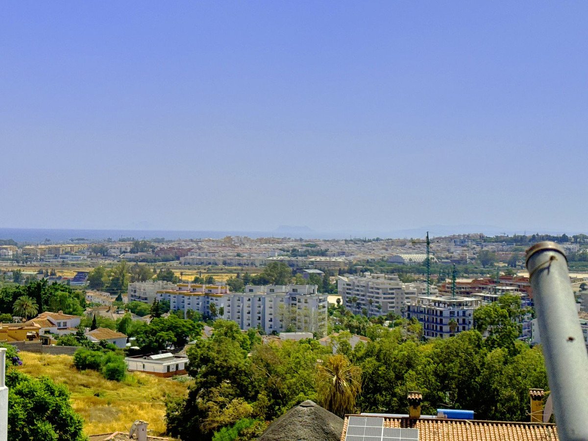 22 photo