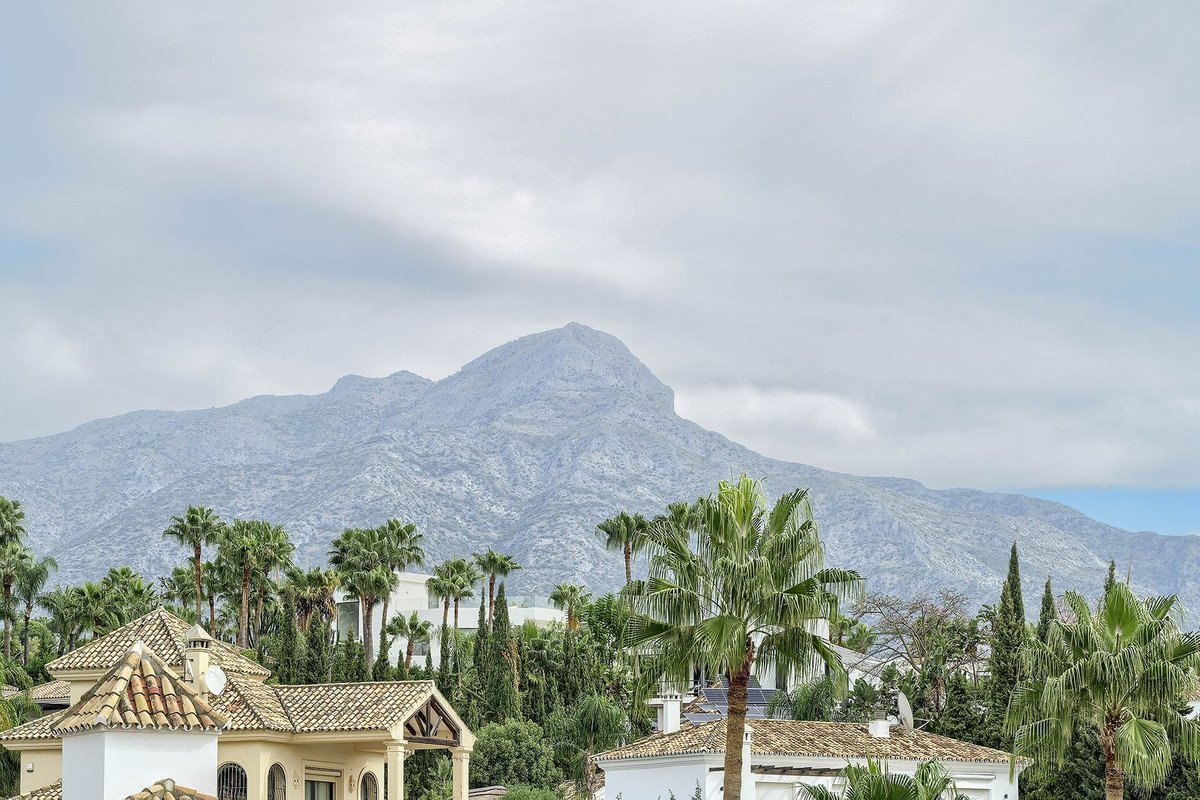 Villa with mountain view and palm trees in the foreground