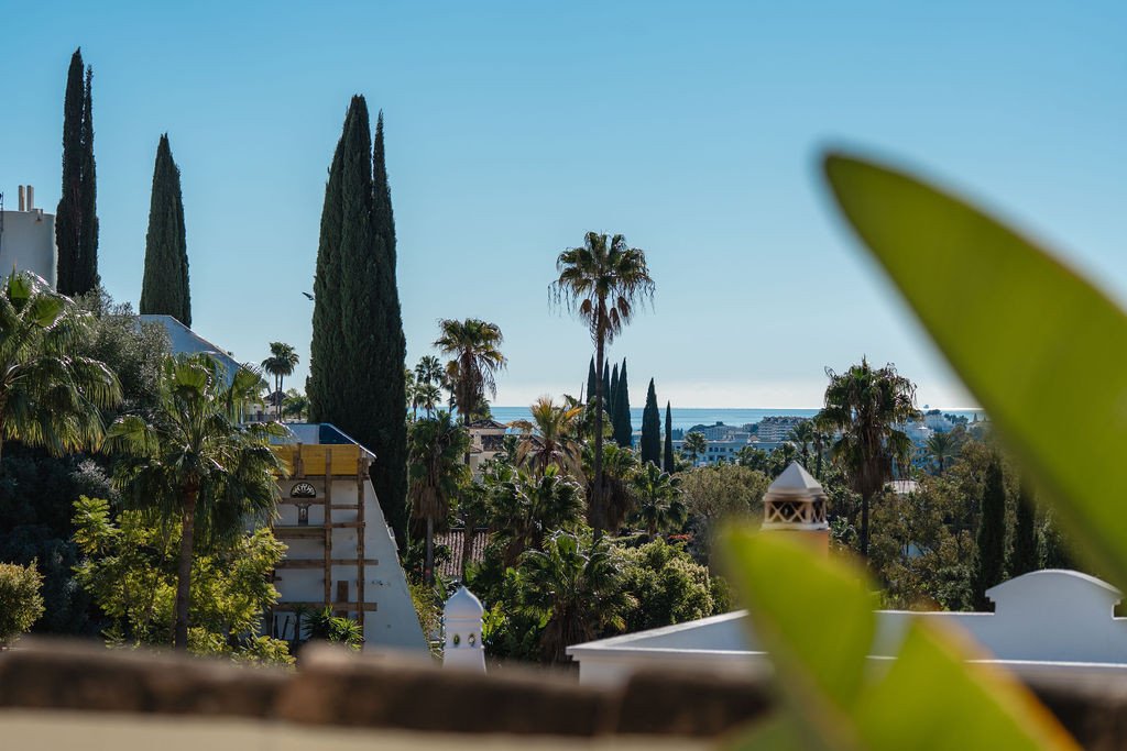 View of the Mediterranean Sea and cityscape through lush greenery, featuring palm and cypress trees.
