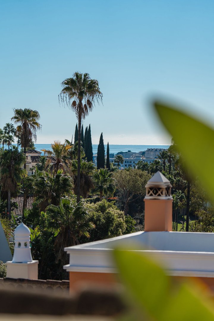 View from a balcony with palm trees, lush greenery, and the sea in the distance on a clear day.