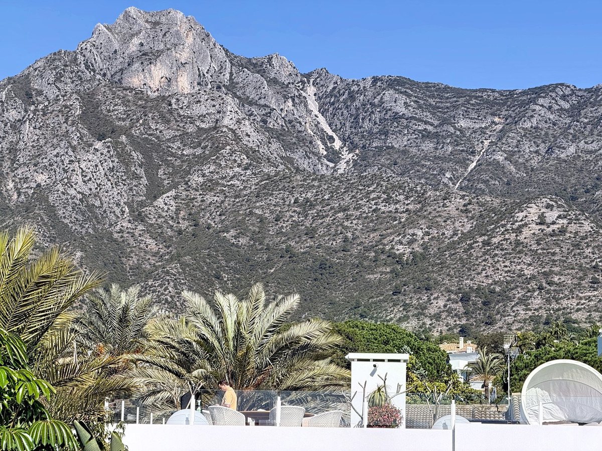 Rooftop terrace with seating and palm trees, offering a stunning view of a majestic mountain range under a clear blue sky.