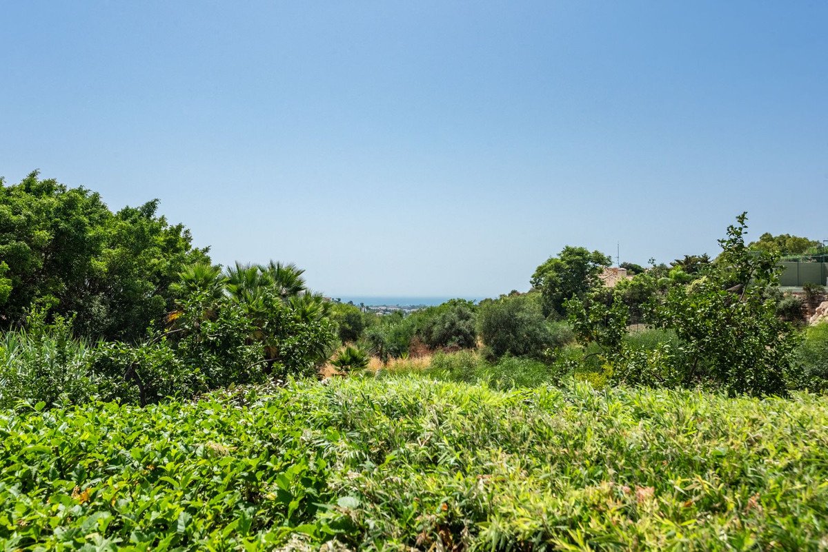 Lush green garden with trees, offering a distant view of the sea and a clear blue sky.